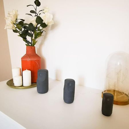 Appartement Cosy En Hypercentre - Le Petit Jules 디종 외부 사진