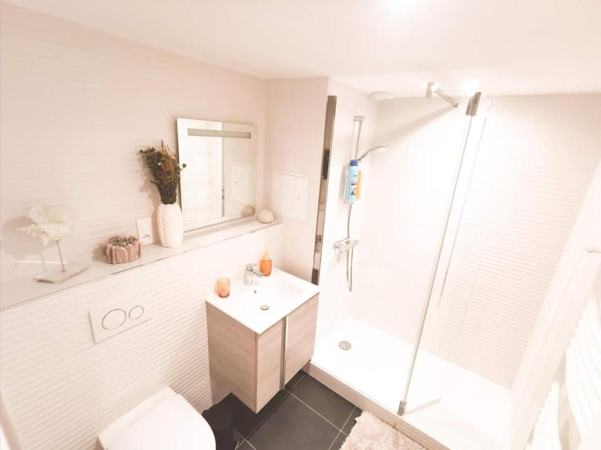 Appartement Cosy En Hypercentre - Le Petit Jules 디종 외부 사진